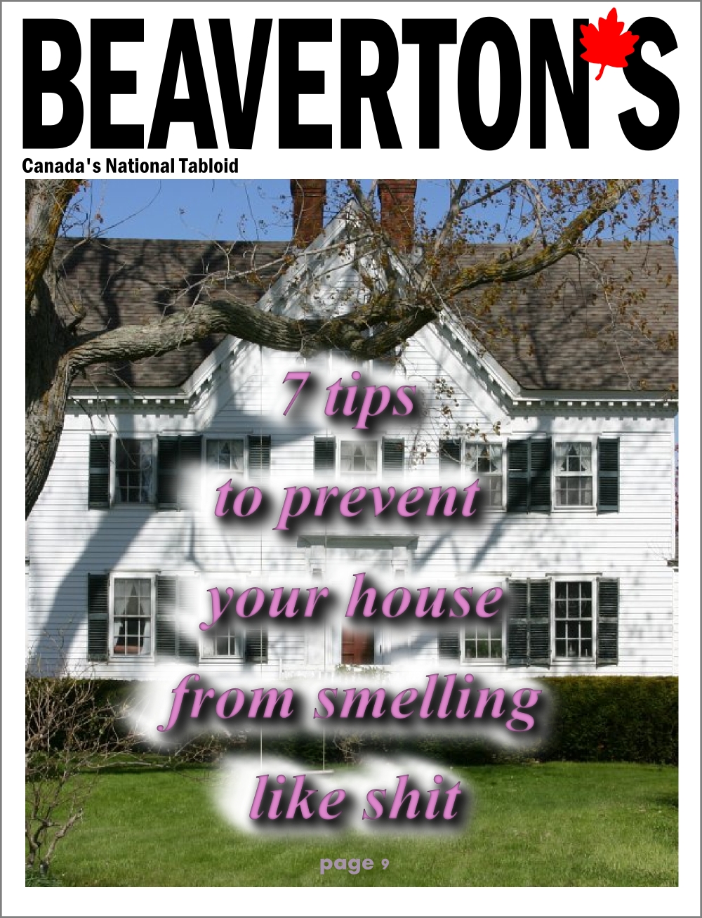 7 tips to prevent your house from smelling like shit The Beaverton