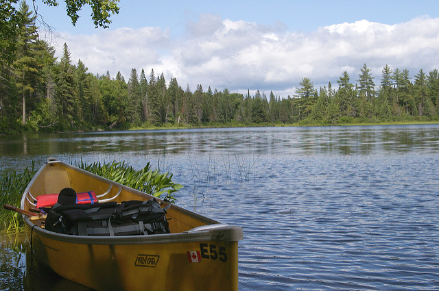 Algonquin Park Canoe