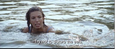 disturbtheeels