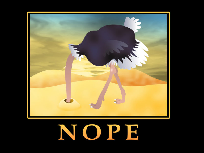 Motivational-Poster-Ostrich-800x600.jpg