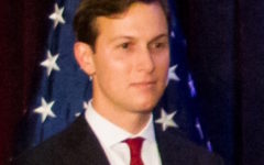 Penis essay 04 image