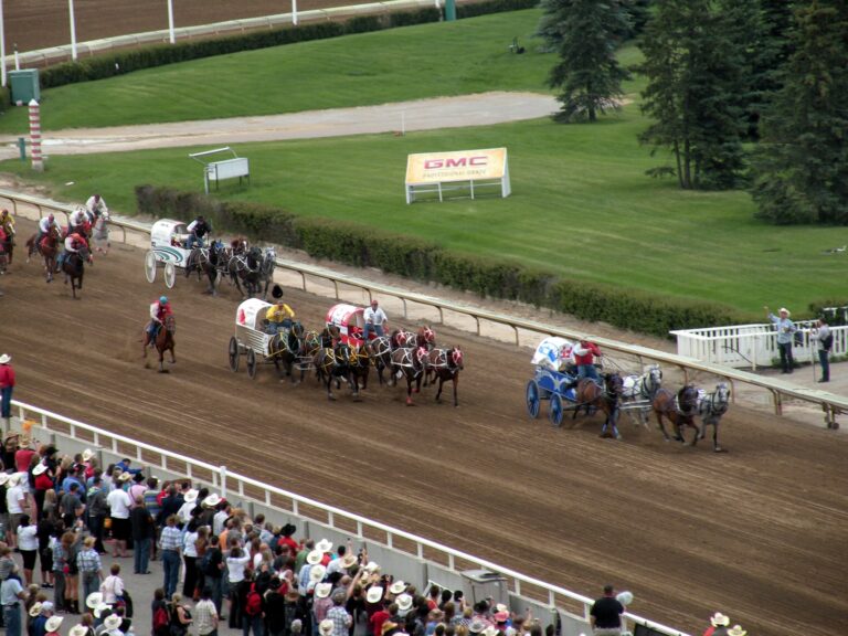 Calgary Stampede cancelled, chuckwagon horses to be euthanized anyway