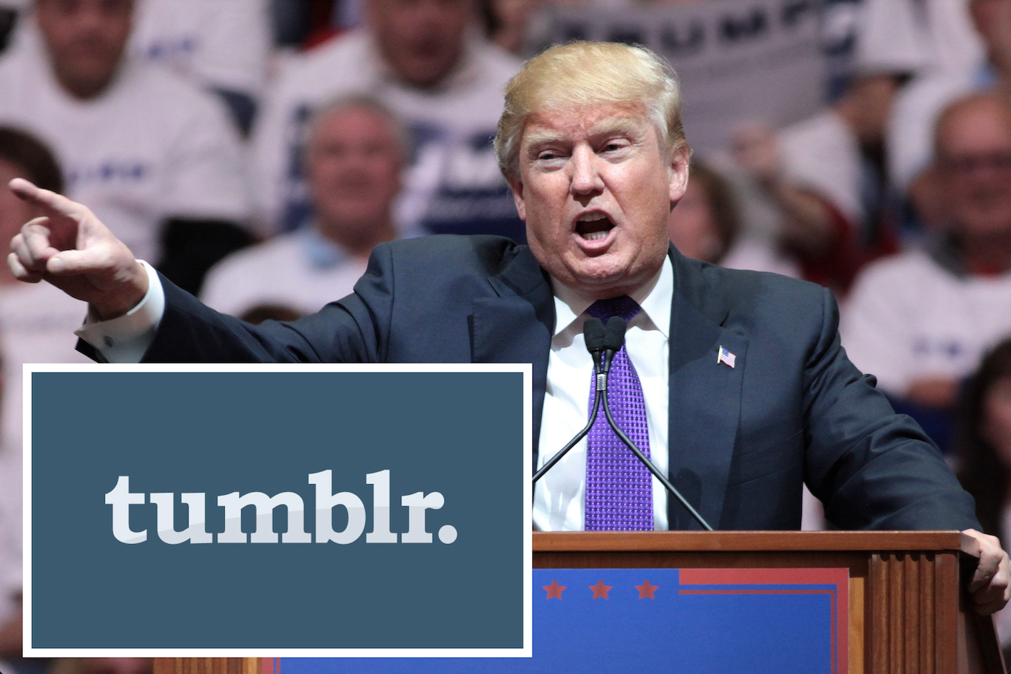 Trump spends weekend just fucking unloading on Tumblr - Vimarsana News