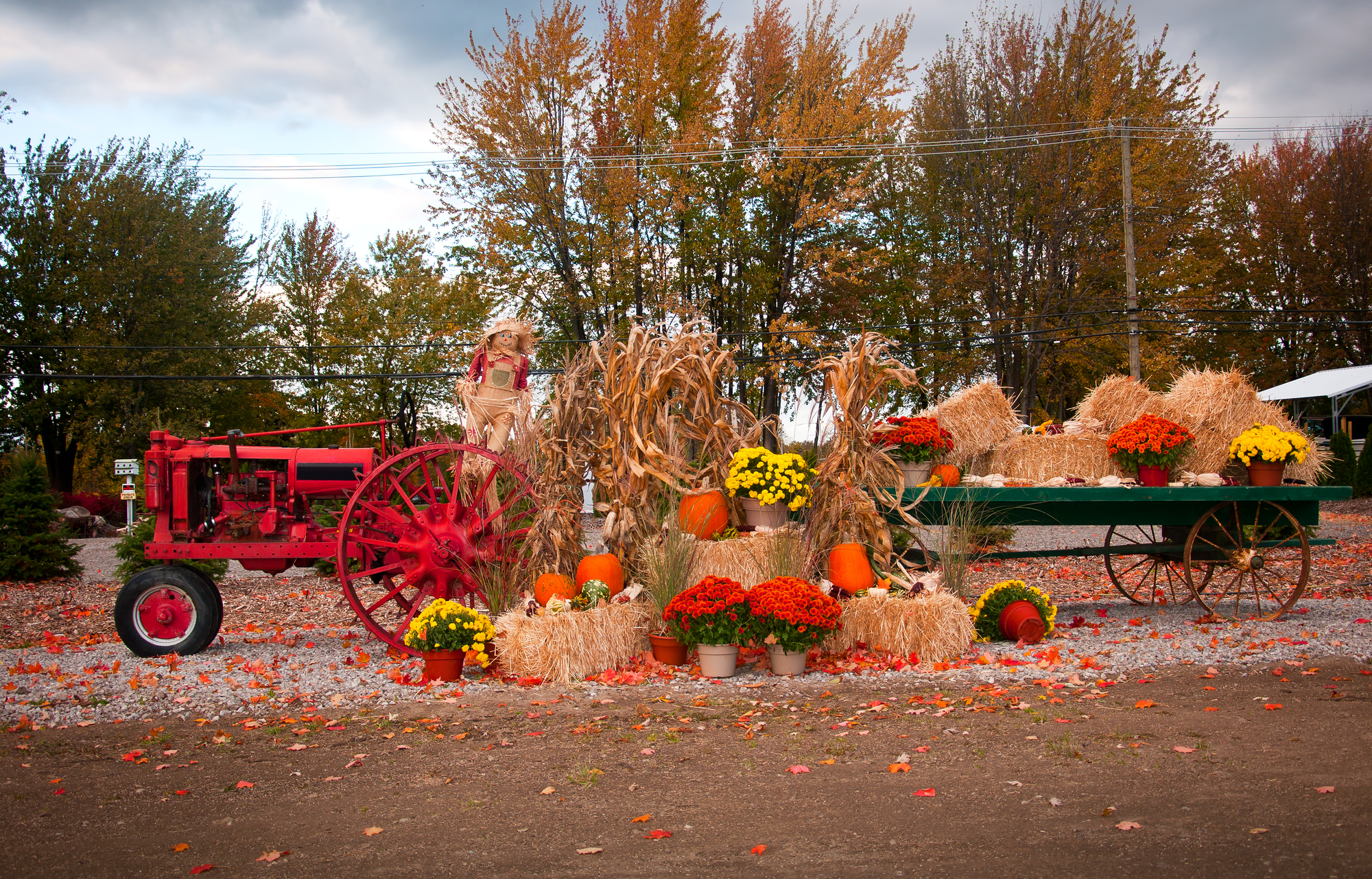 Questions remain as regular hayride suddenly rebranded as haunted hayride - Vimarsana News