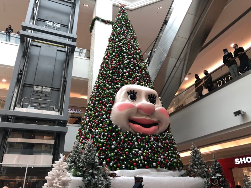 Nova Scotian mall insists giant tree will only Nova Scotian mall insists giant tree will only