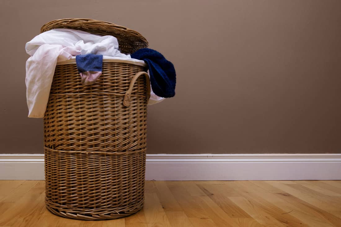 Clothes in hamper smell good enough The Beaverton