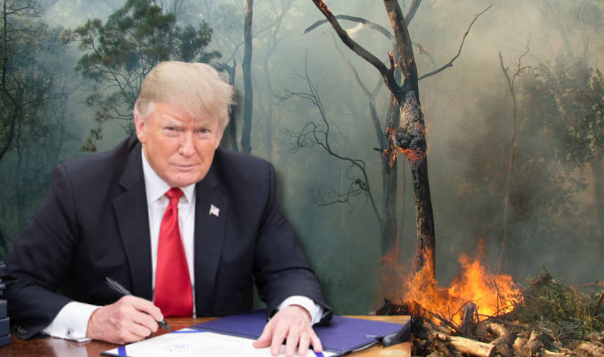 Trump threat to tariff Canada over wildfire smoke closest he will ever come to understanding climate change