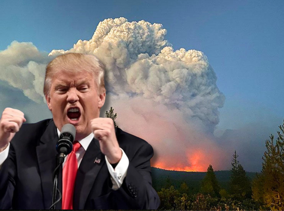 Trump incensed at Canadian wildfires for not blowing smoke up his ass